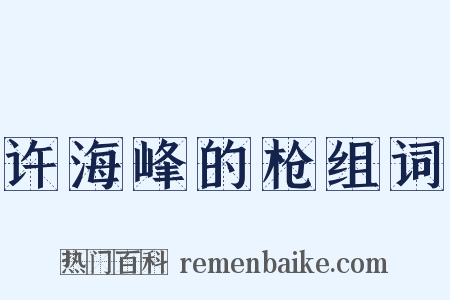 许海峰的枪组词是什么意思的图片